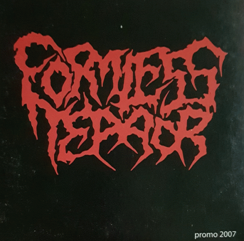 Formless Terror : Promo 2007